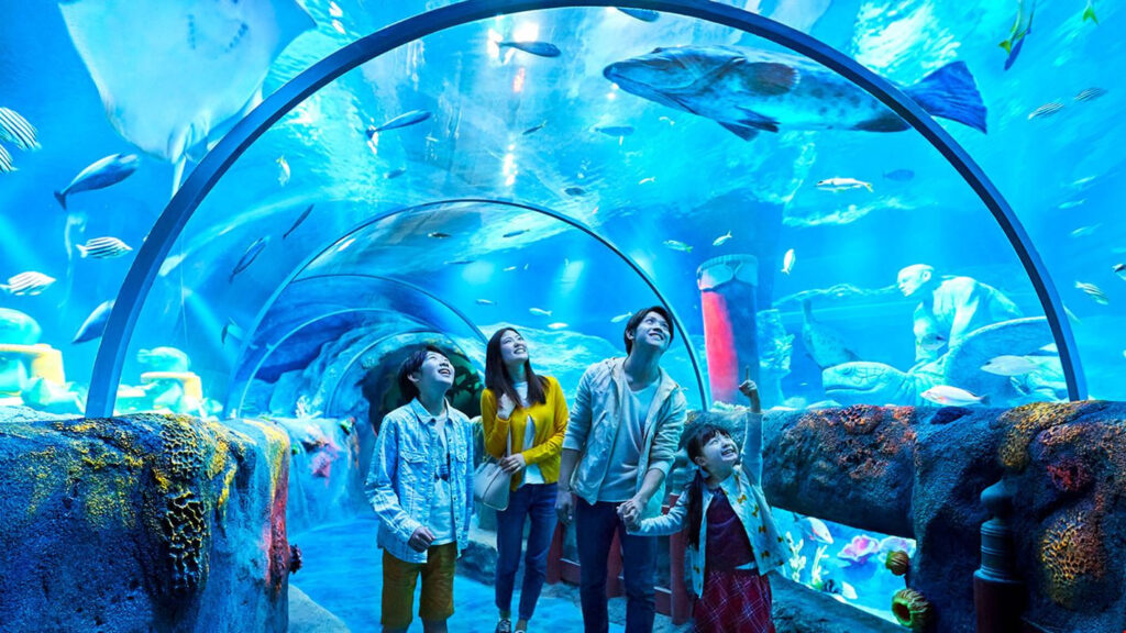 Visitar o SEA LIFE Porto é como mergulhar nas profundezas dos oceanos!