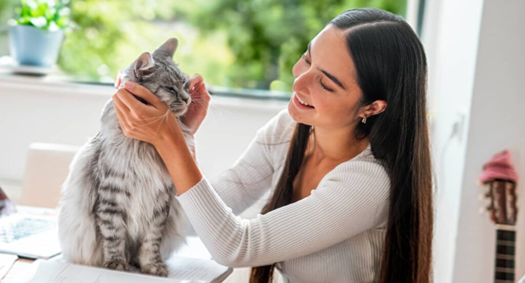 PURINA celebra o Dia do Animal com a nova campanha “Adote com Amor, Cuide com PURINA”