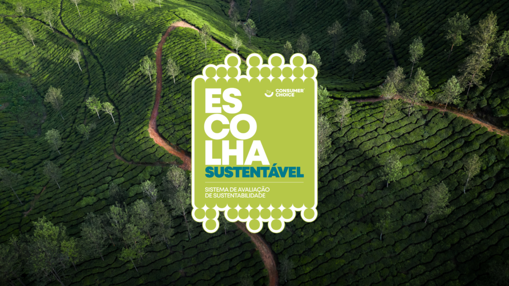 Consumidores consideram importante a adoção de medidas sustentáveis por parte das empresas