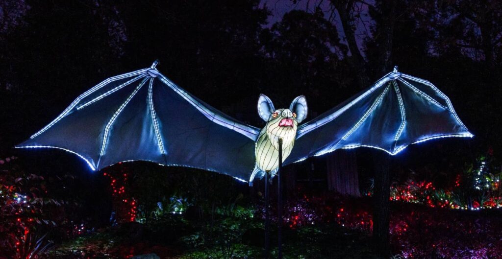Halloween: Zoo Santo Inácio convida a entrar na Casa dos Animais Noturnos