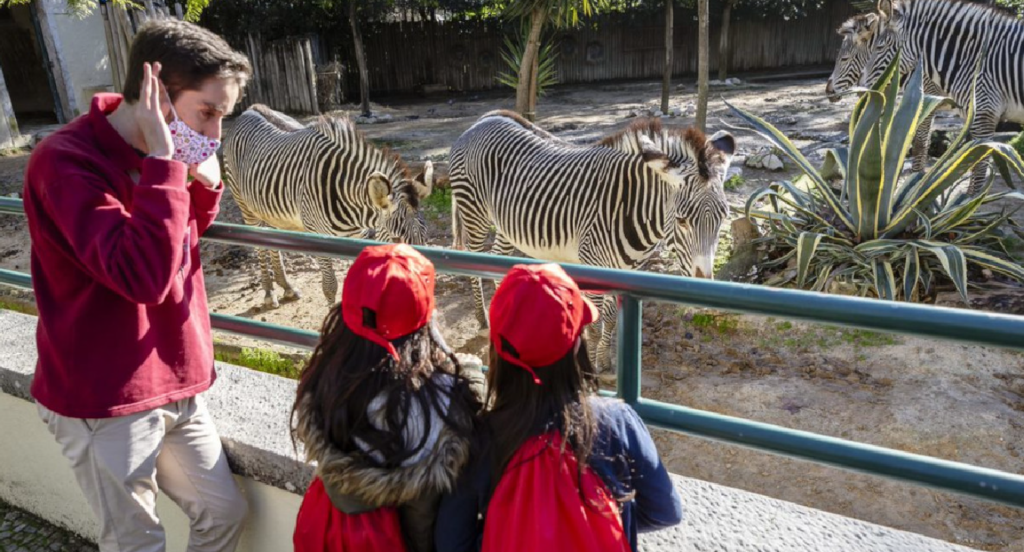 EDP leva 270 crianças e jovens ao Jardim Zoológico