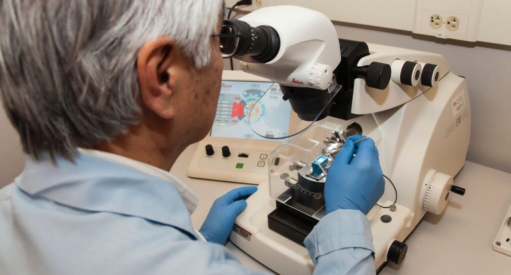 Setor de life sciences: a crescente aposta internacional no talento português