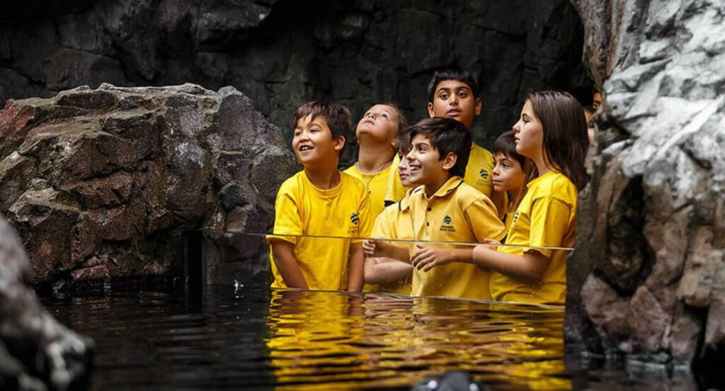 As melhores férias são no Oceanário de Lisboa