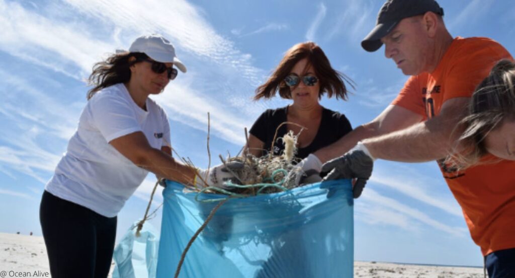 ActivoBank junta-se à Ocean Alive