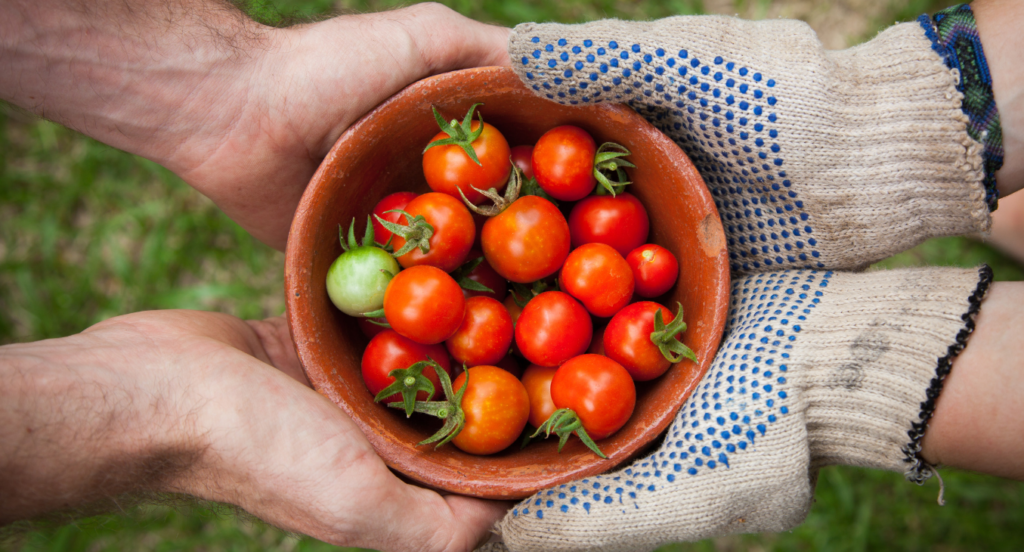Em Portugal 80% dos consumidores prefere comprar um produto ecológico em vez de um produto um pouco mais barato
