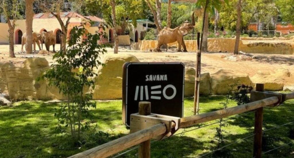 MEO e Zoo criam a Savana MEO