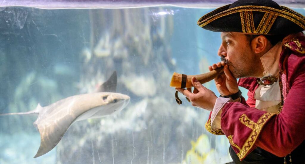 Peixes fantasma “assombram” o Halloween do SEA LIFE Porto