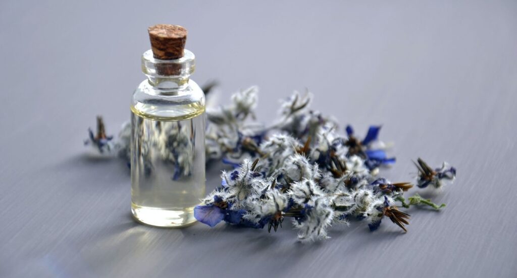 Descobre o perfume do teu signo