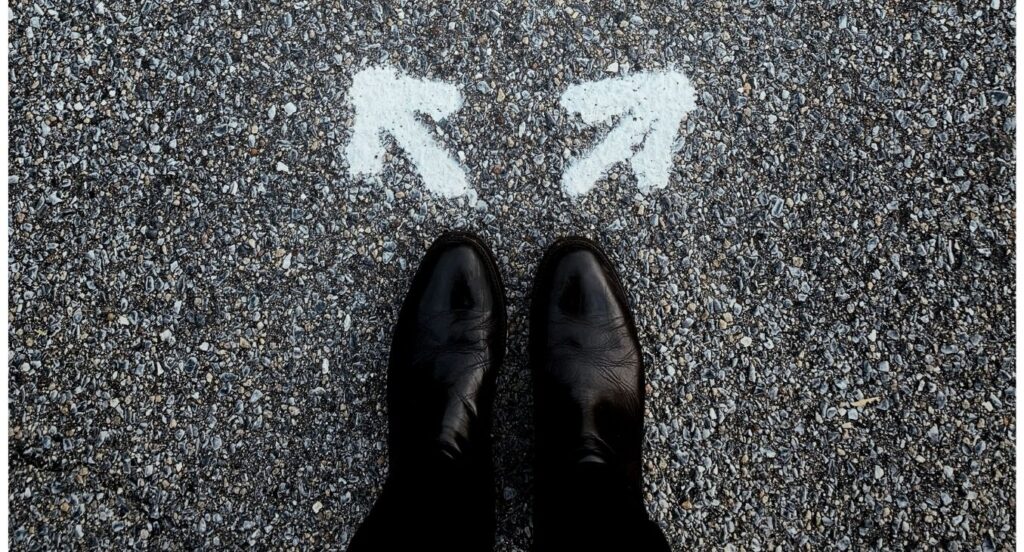 O Caminho do sucesso é feito pela Escolha dos Profissionais