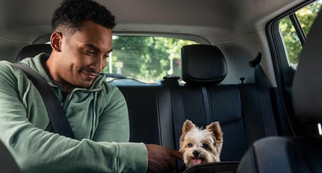 Uber Pet: Já podes viajar com o teu animal de estimação no Uber