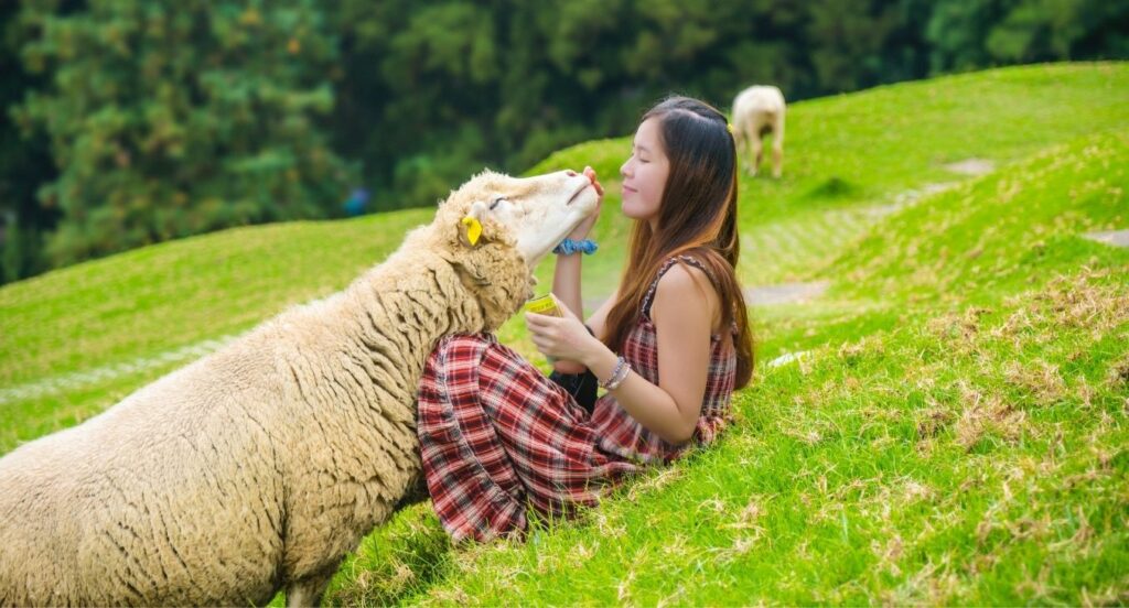 Ser vegan não é tão complicado como julgas!