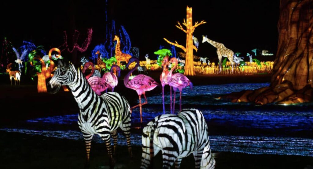 Zoo Santo Inácio abre portas à noite com um Festival de Luzes Selvagens