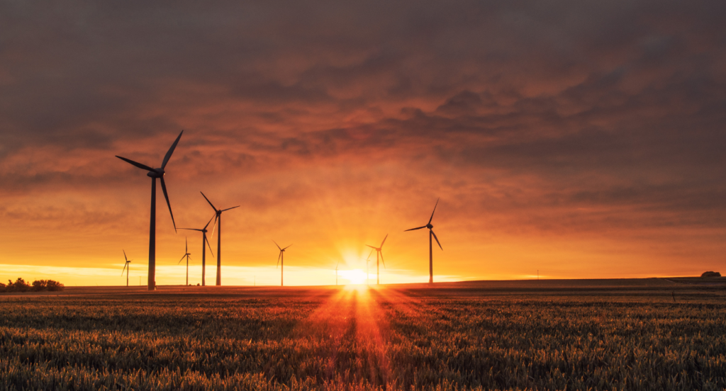 Como é que os candidatos podem encontrar uma função que ajude a combater as alterações climáticas?
