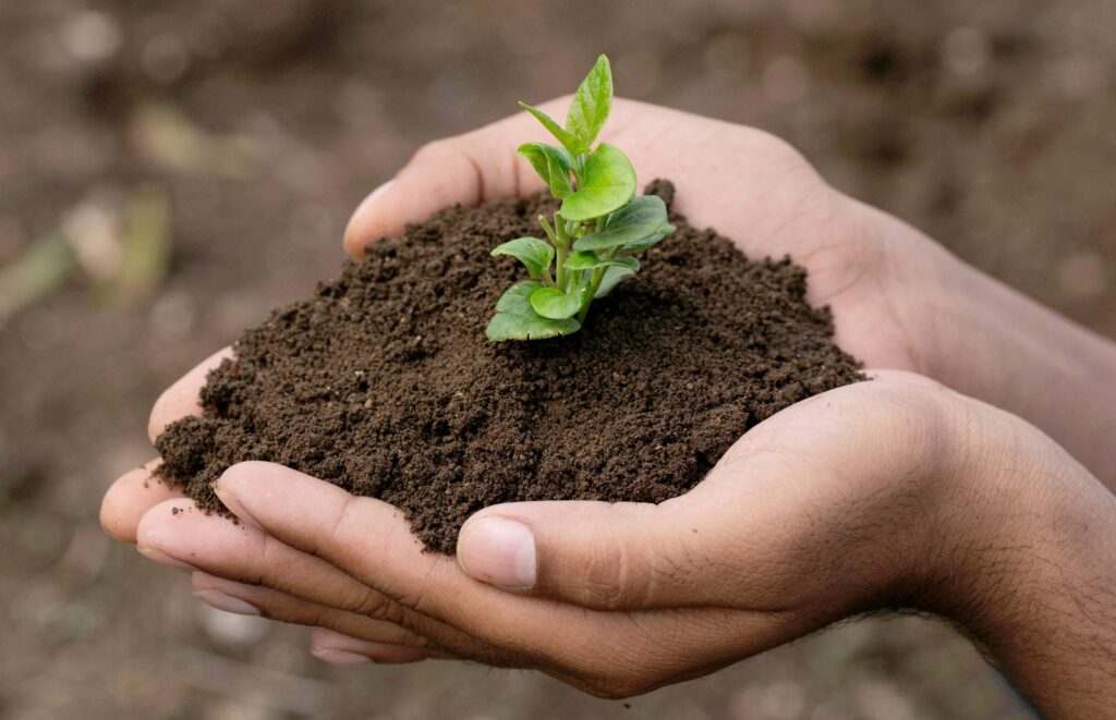 Odisseias lança novidades ecológicas e planta árvores por cada compra!