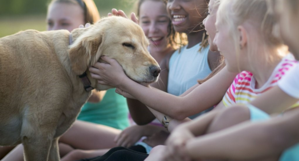 A Purina apoia 3 organizações impactantes para promover a saúde das pessoas através do poder da relação entre pessoas e animais de companhia