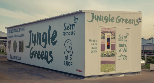 Jumbo cultiva vegetais e aromáticas na própria loja