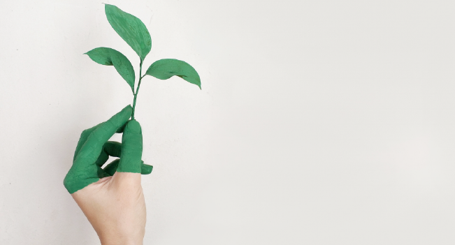 Apenas 5% da inovação nos bens de Grande Consumo inclui valores sustentáveis